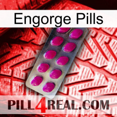 Engorge Pills 09